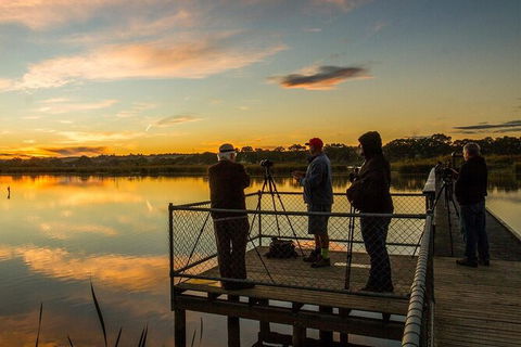Small-Group River Murray Dark Sky And Sunset Tour With Dinner - Accommodation Sydney 2