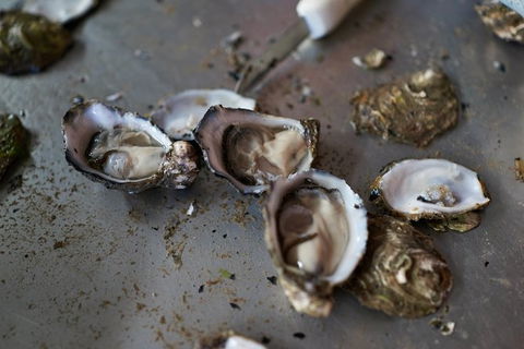 Fine Flavours - Full Day Kangaroo Island Food & Wine Tour - Accommodation Sydney 10