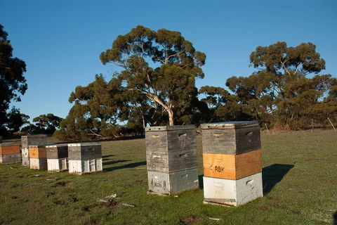 Fine Flavours - Full Day Kangaroo Island Food & Wine Tour - Accommodation Sydney 5