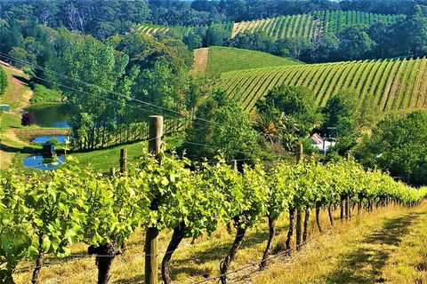 Adelaide Hills Private Day Tour - Accommodation Sydney 0