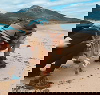 Freycinet Walking Tour - Accommodation Sydney