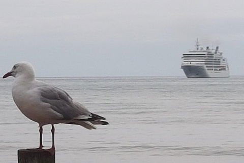 Cruise Ship Excursion: Stanley - Accommodation Sydney 9