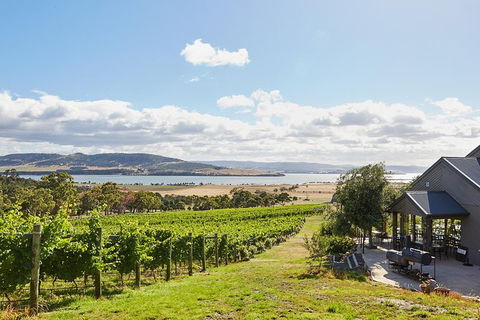 Launceston Wine & Sightseeing Tours - Sydney 4u 0