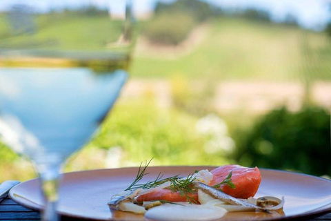 Launceston Wine & Sightseeing Tours - Sydney 4u 5
