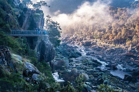 3.5 Hours Walking Tour To Cataract Gorge With Local Guide - Sydney 4u 0