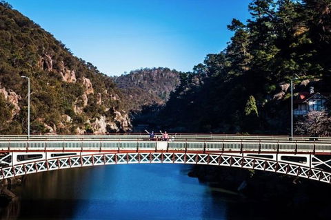 3.5 Hours Walking Tour To Cataract Gorge With Local Guide - Sydney 4u 5
