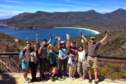Half-Day Tour To Wineglass Bay From Launceston With Guide - Accommodation Sydney 5