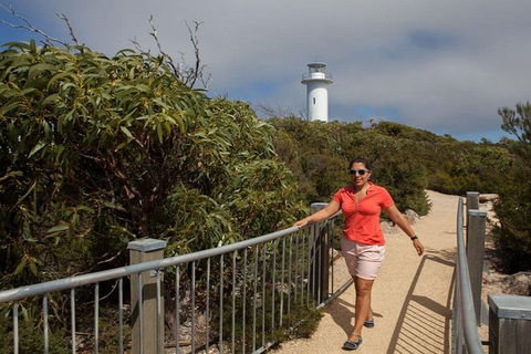 Half-Day Tour To Wineglass Bay From Launceston With Guide - Accommodation Sydney 2