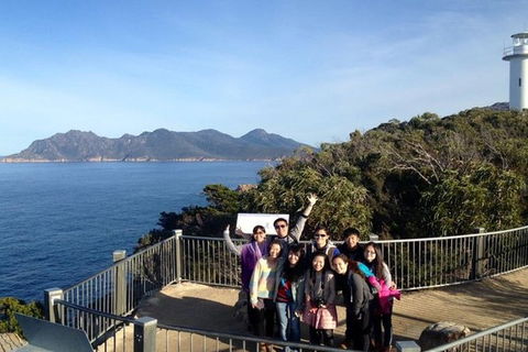 Half-Day Tour To Wineglass Bay From Launceston With Guide - Accommodation Sydney 3