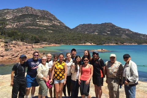 Half-Day Tour To Wineglass Bay From Launceston With Guide - Accommodation Sydney 0