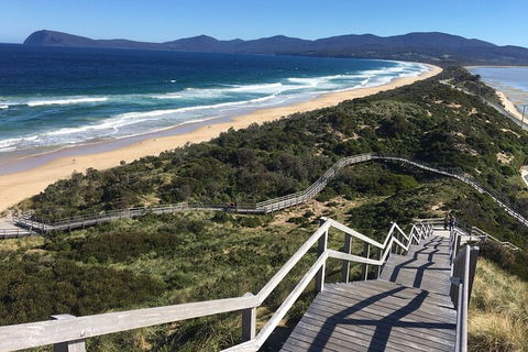 4-Day Fabulous Tasmania Tour: Wineglass Bay, Port Arthur, Devils & Bruny Island - Accommodation Sydney 3