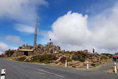 Mt. Wellington Morning Hike + Afternoon Beer & History Walk - Sydney 4u 21