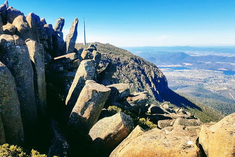 Mt. Wellington Morning Hike + Afternoon Beer & History Walk - Sydney 4u 11