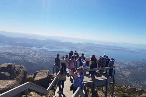 Mt. Wellington Morning Hike + Afternoon Beer & History Walk - Sydney 4u 2
