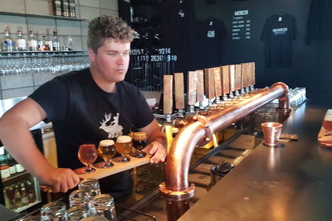 Mt. Wellington Morning Hike + Afternoon Beer & History Walk - Sydney 4u 19