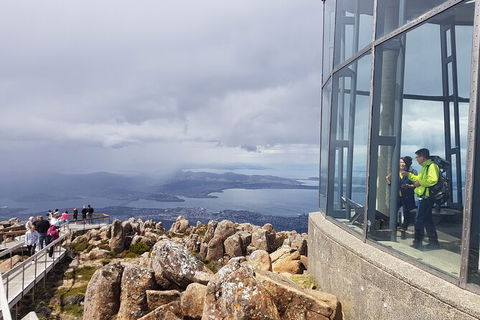 Mt. Wellington Morning Hike + Afternoon Beer & History Walk - Sydney 4u 12