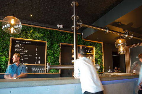 Mt. Wellington Morning Hike + Afternoon Beer & History Walk - Sydney 4u 15