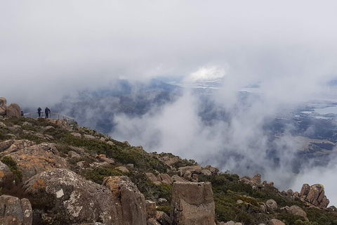 Mt. Wellington Morning Hike + Afternoon Beer & History Walk - Sydney 4u 18