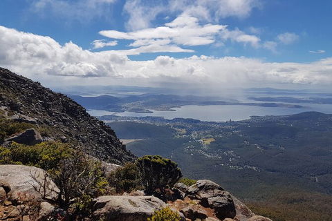 Mt. Wellington Morning Hike + Afternoon Beer & History Walk - Sydney 4u 5