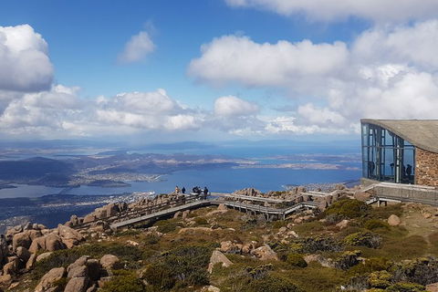 Mt. Wellington Morning Hike + Afternoon Beer & History Walk - Sydney 4u 3