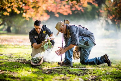 Aboriginal Heritage Walk - Royal Botanic Gardens Victoria, Melbourne Gardens - Accommodation Sydney 0
