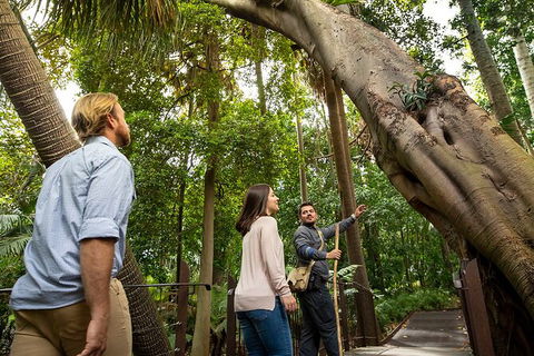 Aboriginal Heritage Walk - Royal Botanic Gardens Victoria, Melbourne Gardens - Accommodation Sydney 1