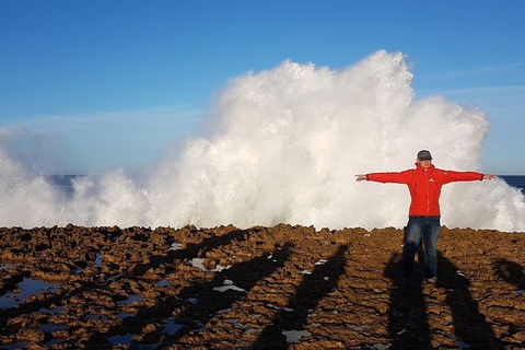 Ride Tours, 2 Day Great Ocean Road Experience - Accommodation Sydney 1