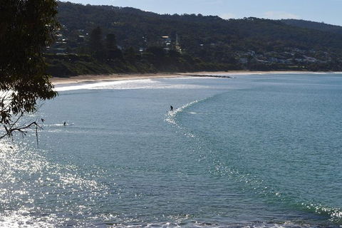 Small Group Great Ocean Road & 12 Apostles Tour - Accommodation Sydney 6