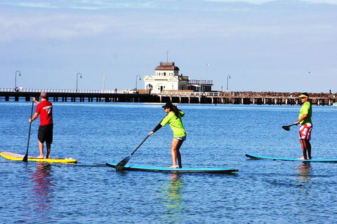 Private Stand-Up Paddle Board Lesson At St Kilda - Accommodation Sydney 0