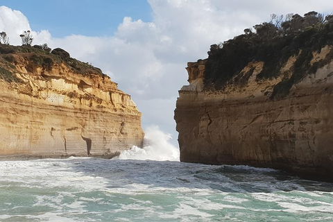 Shipwreck Coast Tour From Warrnambool - Accommodation Sydney 1