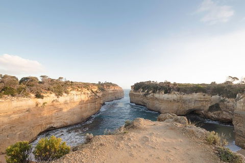 PRIVATE Great Ocean Road Tour And 12 Apostles With Wildlife Spotting - Sydney 4u 1