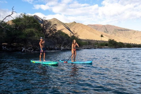 Stand Up Paddle Boarding Hire - Accommodation Sydney 2
