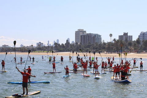Stand Up Paddle Boarding Hire - Accommodation Sydney 5