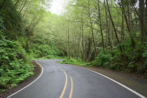 Cruise Ship Shore Excursion - Private Great Ocean Road Full Day Tour (12 Hour) - Accommodation Sydney 1