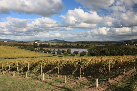LGBT+ Friendly Full Day Yarra Valley & Dandenong Ranges Private Tour - Sydney 4u 0