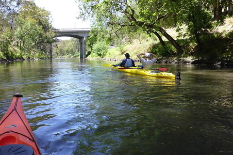 Self Guided Scenic Yarra River Kayak Tour For 2 - Accommodation Sydney 3