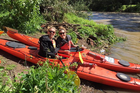 Self Guided Scenic Yarra River Kayak Tour For 2 - Accommodation Sydney 2