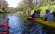 Self Guided Scenic Yarra River Kayak Tour For 2 - thumb 4