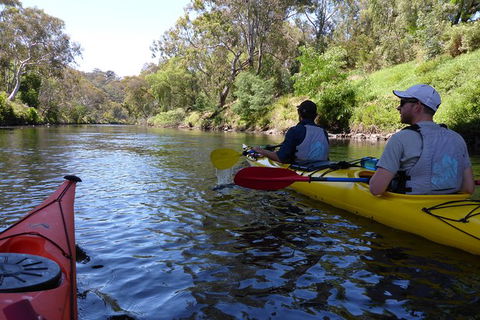 Self Guided Scenic Yarra River Kayak Tour For 2 - Accommodation Sydney 4