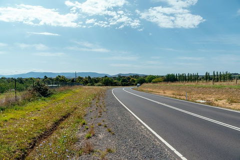 Day Trip To The Yarra Valley Private Tour - Sydney 4u 2