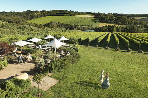 Small Group Mornington Peninsula, Arts, Food And Wine Tour - Accommodation Sydney 1