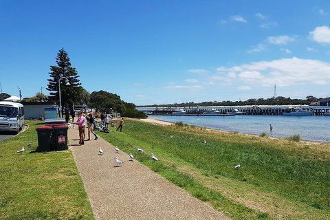 Phillip Island Penguin And Wildlife Tour - Accommodation Sydney 25