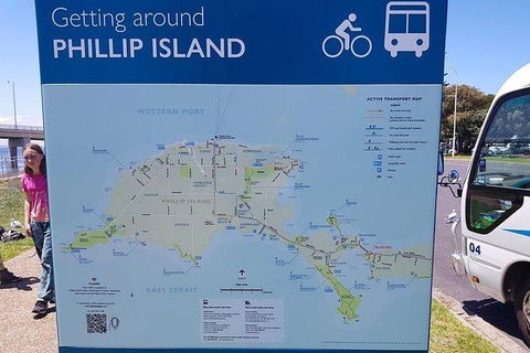 Phillip Island Penguin And Wildlife Tour - Accommodation Sydney 28