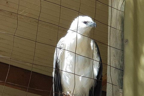 Phillip Island Penguin And Wildlife Tour - Accommodation Sydney 21