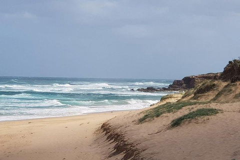 Phillip Island Penguin And Wildlife Tour - Accommodation Sydney 10