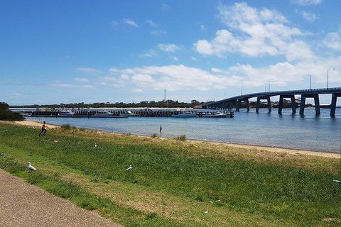 Phillip Island Penguin And Wildlife Tour - Accommodation Sydney 24