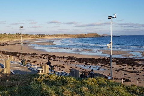 Phillip Island Penguin And Wildlife Tour - Accommodation Sydney 8