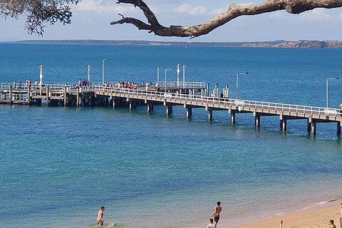 Phillip Island Penguin And Wildlife Tour - Accommodation Sydney 2