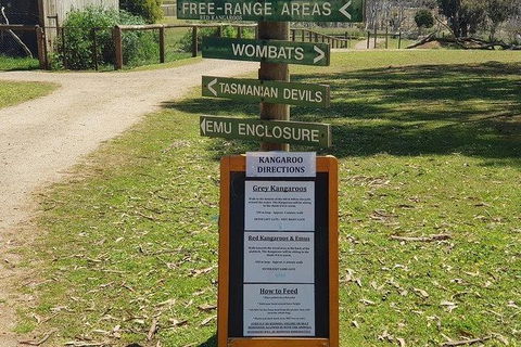 Phillip Island Penguin And Wildlife Tour - Accommodation Sydney 4