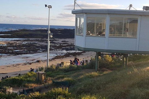 Phillip Island Penguin And Wildlife Tour - Accommodation Sydney 33